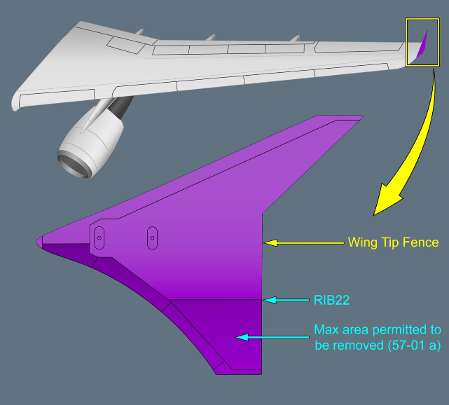 ILLUSTRATION WING TIP FENCE ILLUSTRATION WING TIP FENCE